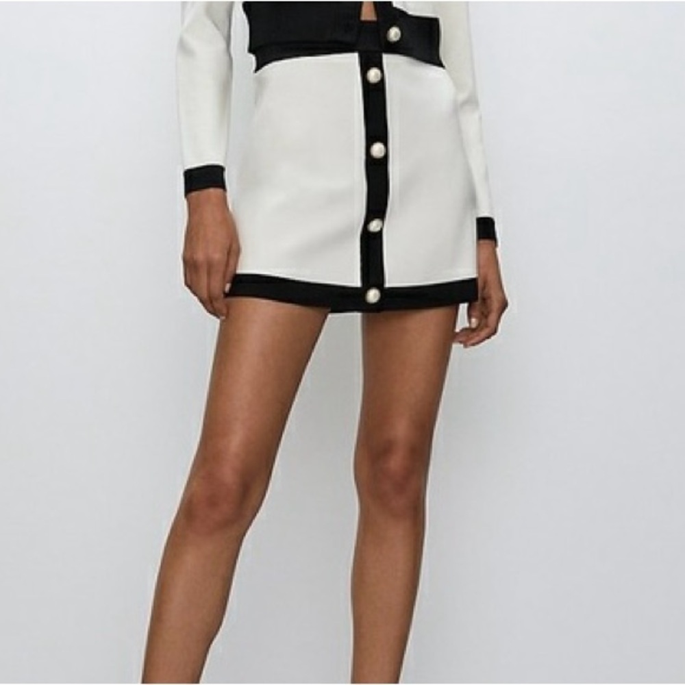 Aritzia Babaton Legacy Skirt